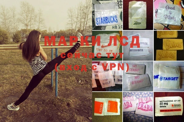 таблы Горняк