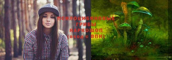 таблы Горняк